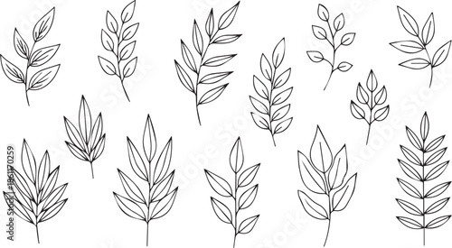 Collection of hand drawn line art leaves and botanical branch elements for minimalist floral patterns eco friendly branding and natural organic design
