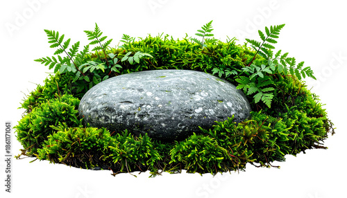 Smooth gray stone resting in vibrant green moss with ferns