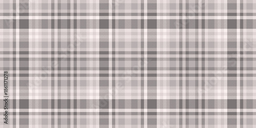 Commerce textile tartan fabric, classy background seamless pattern. Ornate check vector texture plaid in grey and white colors.