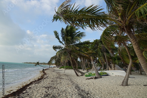 Obraz na płótnie Punta Allen Sand Beach on the Caribbean near Tulum, Mexico - Sian Kaan Marine Re