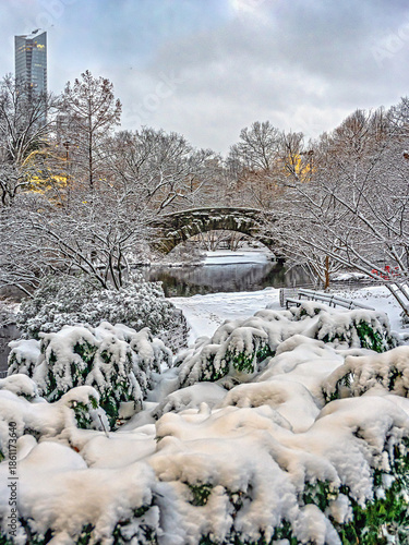 Gapstow Bridge in Central Park