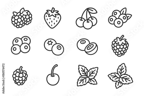 Monochrome berry and leaf icons featuring strawberries, cherries, blueberries, mint, and raspberries.