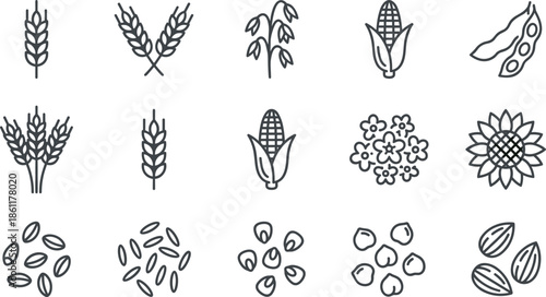Vector Set of Cereal Line Icons Featuring Wheat Stalks, Corn, Oat, Soybean, Sunflower, Seeds, Rice, Grains, and Organic Agriculture Elements