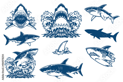 Various Shark Illustrations Showcasing Marine Life, Ocean Wildlife Collection for Sea, Nature and Aquatic Design Projects