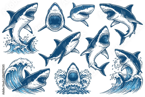 Various Shark Illustrations Showcasing Marine Life, Ocean Wildlife Collection for Sea, Nature and Aquatic Design Projects
