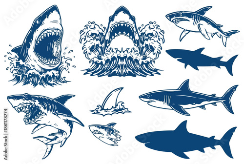 Various Shark Illustrations Showcasing Marine Life, Ocean Wildlife Collection for Sea, Nature and Aquatic Design Projects