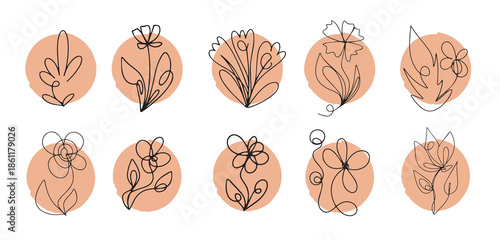 wildflowers vector icon set continuous line drawing stable
