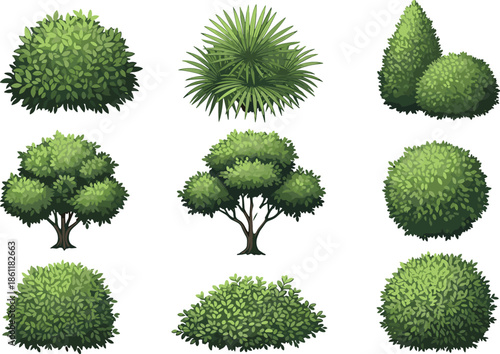Set of Green Garden Bushes and Shrub Vectors with Various Leaf Textures and Realistic Shapes Isolated on White for Landscape Design