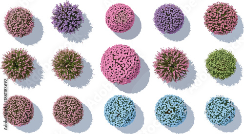 Top View Colorful Flower Bush and Shrub Set Vector Illustration for Landscape Design Architecture Map Planning and Garden Layout Projects