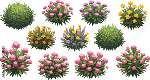 Vector collection of various garden bushes and flowering shrubs with pink yellow and purple blossoms isolated on a white background.