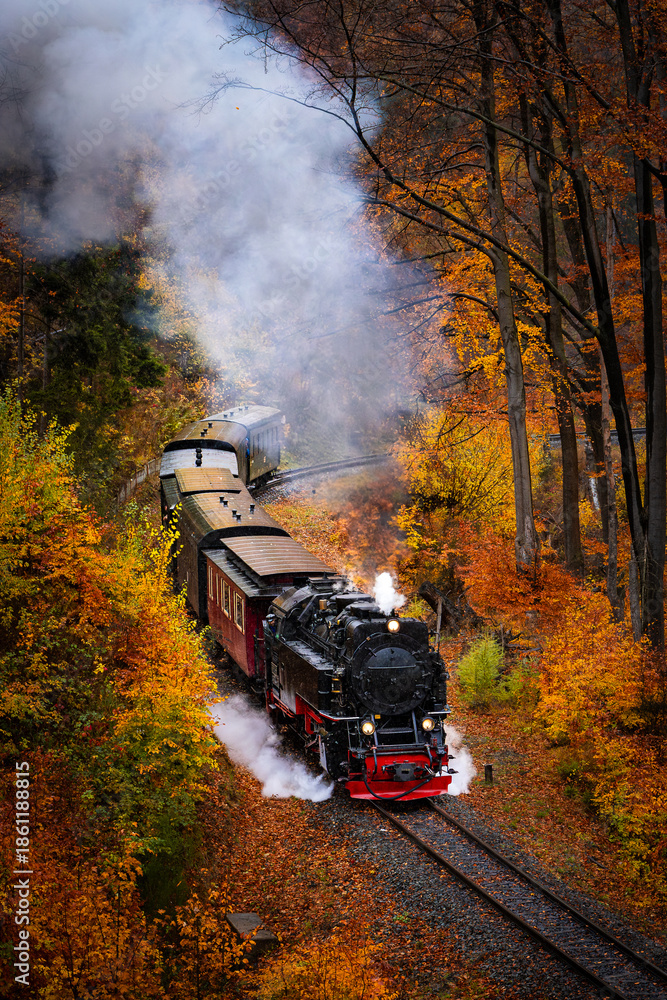 Obraz premium Brockenbahn in den herbstlichen Wäldern im Harz