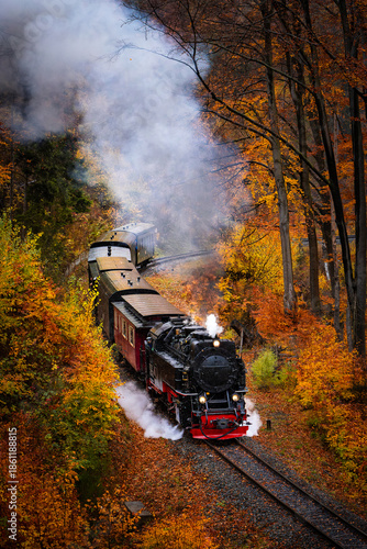 Brockenbahn in den herbstlichen Wäldern im Harz