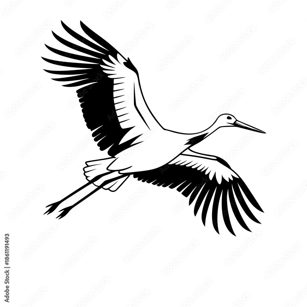 Fototapeta premium stork on white background