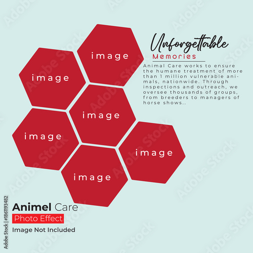 modern design layout