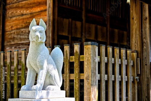 【神奈川】横須賀　諏訪神社の狛狐
