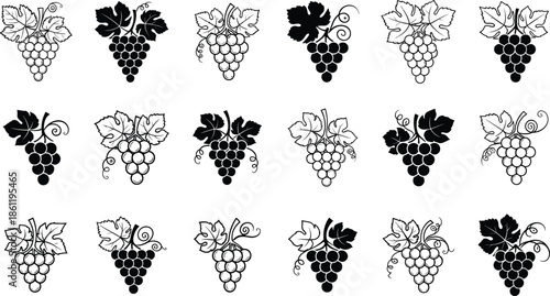 Black and white grape illustrations in various styles