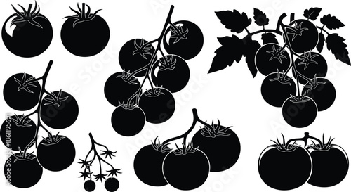 Black silhouette illustrations of various tomato clusters