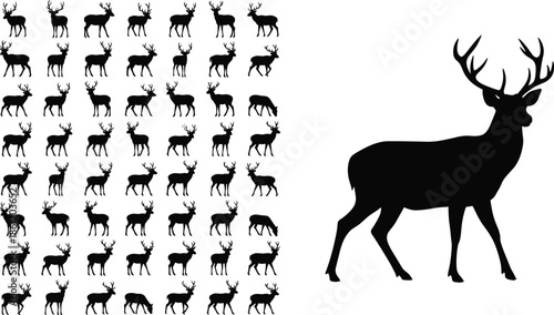 Deer silhouette comparison, black and white illustration, scale contrast, animal shape grid, wildlife design, size difference, visual reference