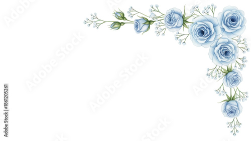 Delicate hand painted watercolor floral corner with roses and baby's breath in pastel blue isolated on white background