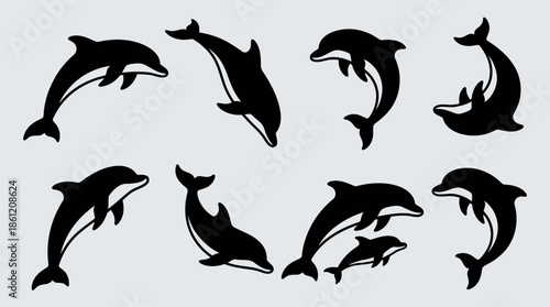 Dolphin Silhouette Vector Set | Black Marine Animal Shapes in Motion | Editable Ocean Wildlife Graphic for Educational, Decorative, and Sea-Themed Design Projects