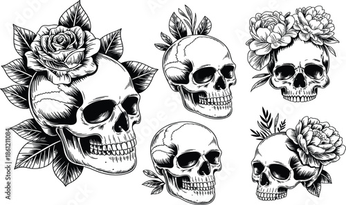 Vintage human skull and rose flower hand drawn sketch vector set, botanical memento mori for gothic tattoo and rock music design