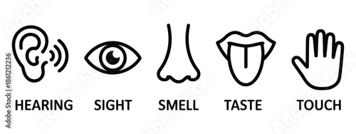Line icon set representing the five human senses: hearing, sight, smell, taste, and touch, perfect for educational materials, health apps, infographics, and school projects.