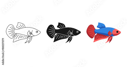 Beta fish evolution: outline, silhouette, and vibrant multicolor stages
