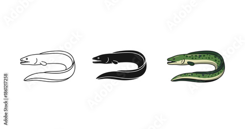 Evolution of eel drawing: outline, silhouette, and colored illustration
