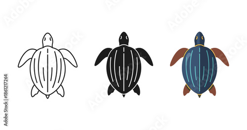Black, white, and colorful turtles: graphic evolution in simple designs