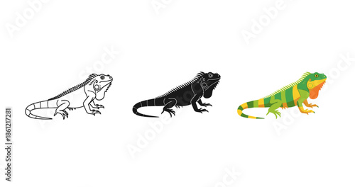 Iguana evolution: outline, silhouette, and colorful design transformation