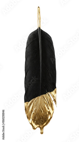фотографія Luxurious black feather with gold dipped tip
