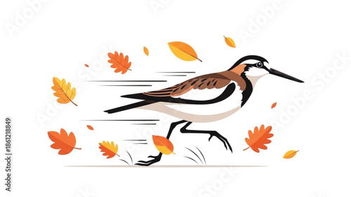 Slender shorebird resembling a sandpiper running quickly through a scene with autumn leaves blowing around it.