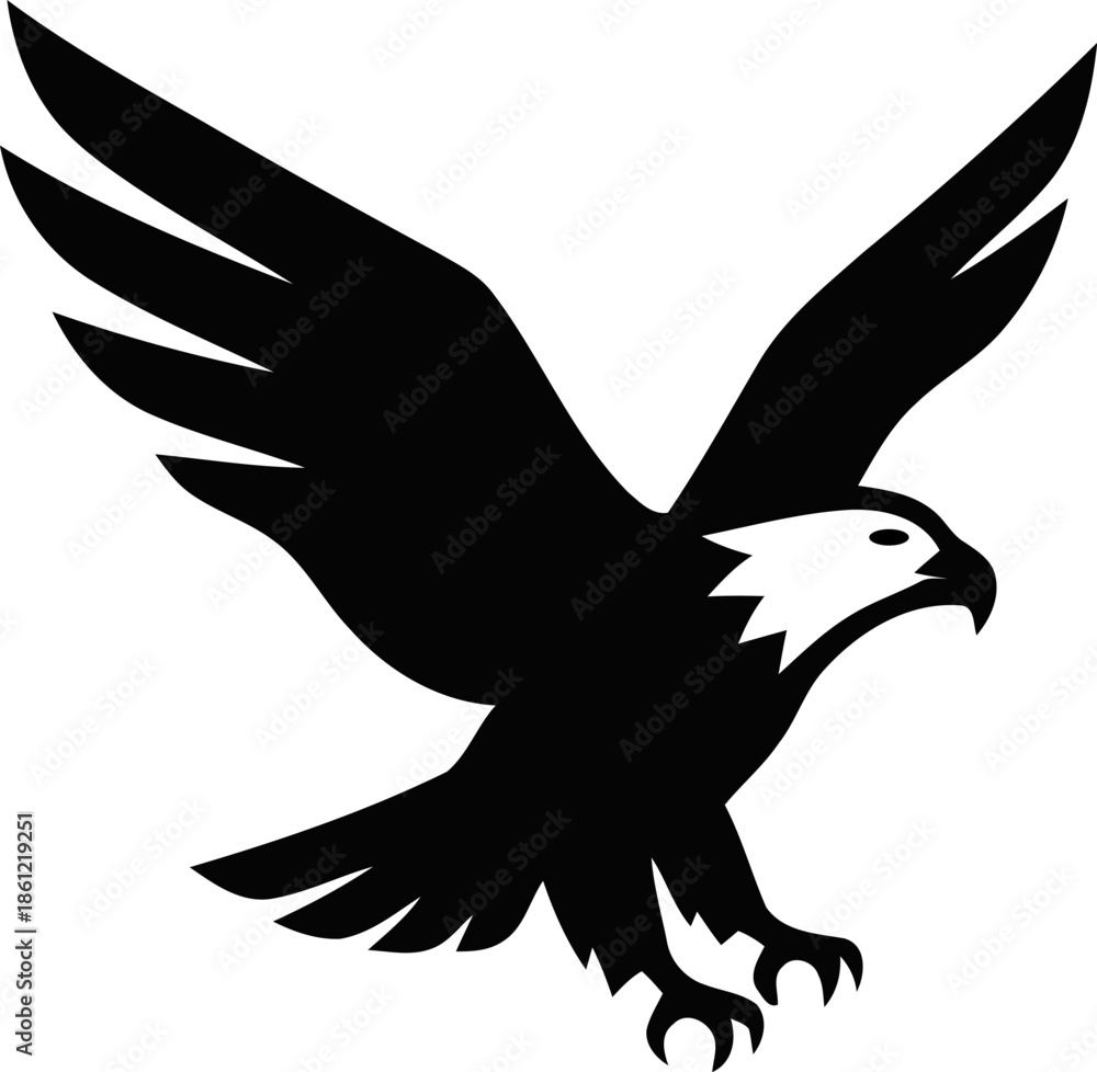 Fototapeta premium Soaring eagle in flight