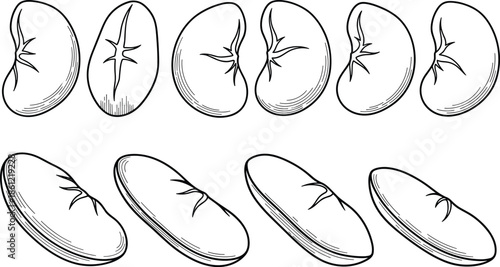 Ancient Egyptian Landscape Vector Illustration with Giza Pyramids Temple Palm Trees Eagle and Celestial Compass Stars in Minimalist Line Art Style