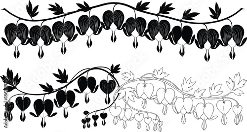 Bleeding Heart Flower Collection Featuring Detailed Hand Drawn Line Art and Black Silhouette Sketches of Dicentra Blossoms for Botanical Design