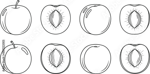 Set of Plum Fruit Icons for Coloring Book, Whole and Sliced Half Plum with Pit, CAD Drawing Flat Vector Illustration