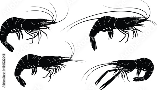 Set of Shrimp and Prawn Silhouette Icons for Seafood Menu, Fresh Marine Crustacean Elements, Black CAD Drawing Flat Vector Illustration