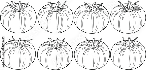 Collection of eight fresh tomato vegetable line art icons for grocery market and healthy food design cad drawing flat vector illustration