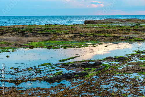 Photo taken at Sea Cliff Bridge in December 2025, showing the iconic coastal bridge and ocean views, with people enjoying walking and sightseeing along the coast.