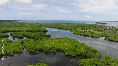Mangrove forest with waterways and coastline in the background under blue sky. Siargao, Philippines.