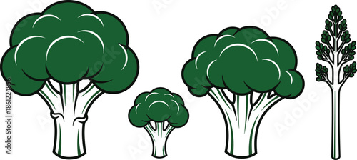 Set of Broccoli Vegetable Icons for Healthy Food Design, Fresh Green Cabbage Florets and Stalk, CAD Drawing Flat Vector Illustration