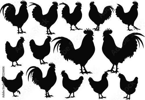 Chicken silhouettes, rooster silhouettes, poultry icons, farm animals, black silhouettes, hen shapes, rural birds, livestock graphics, vector poultry, animal outlines