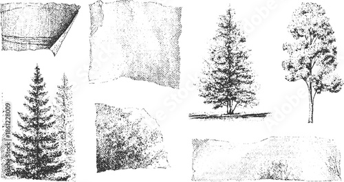 Black and white of trees and torn paper textures pine spruce deciduous foliage