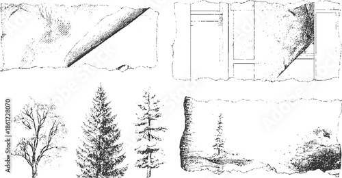 Black and white ink of torn paper edges trees and abstract shapes