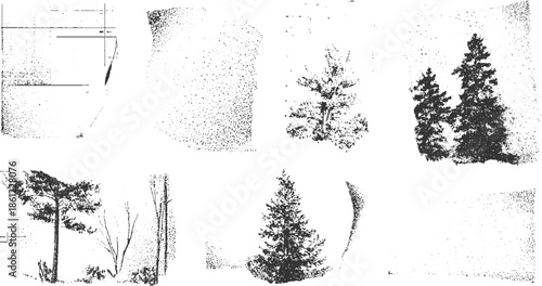 Vintage black and white ink of trees and textured backgrounds pine spruce branches