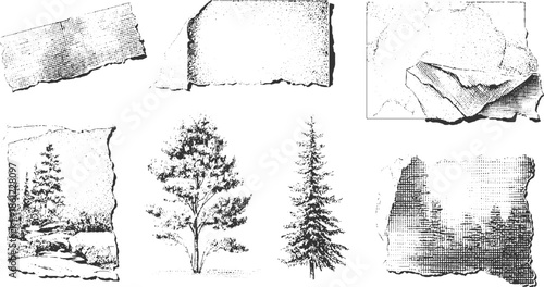 Black and white textured torn paper and forest scenes grunge vintage
