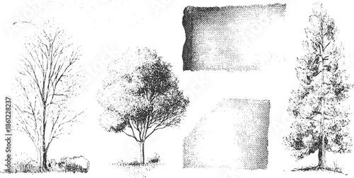 Black and white ink of deciduous and coniferous trees with textured halftone nature