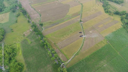 Aerial perspective of colorful agricultural fields divided by tree-lined paths and rising smoke.