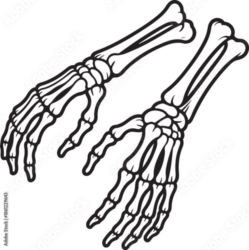 Detailed Skeletal Hand Vector Graphics for Medical Illustrations and Halloween Designs with Black Outline