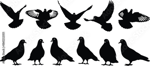 Pigeon bird silhouette set, flying and standing dove shapes, black isolated animal collection for logo design, icons, stickers, vector illustration